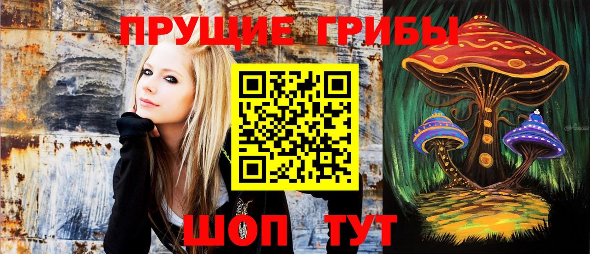 Чехов  купить   Вход с VPN  Галлюциногенные грибы мицелий 