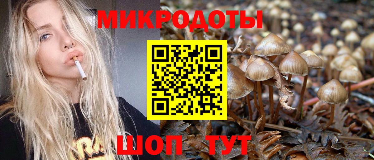 Галлюциногенные грибы Magic Shrooms Чехов